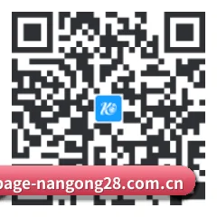 系统版 Android 二维码